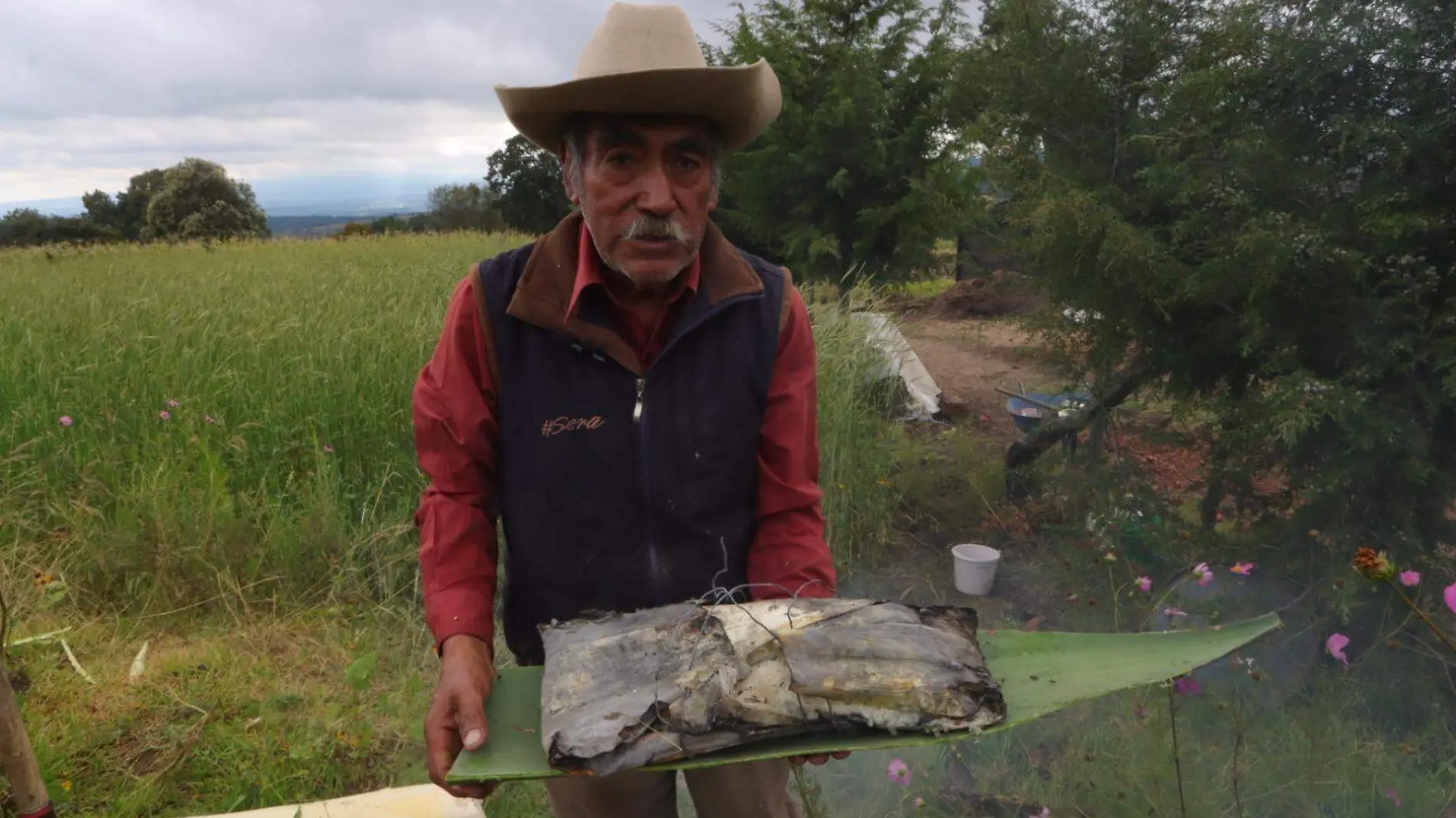 huevo de maguey al rescoldo (6)